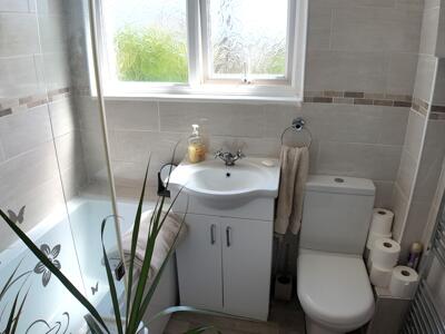 Picture 11